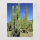 Recherche de tuyau cartes postales Nature