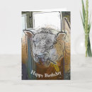 Recherche de brebis vœux cartes Fermes