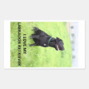 Recherche de chien noir autocollants Chiens