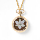 Recherche de fleur lys montres Floral