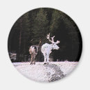 Zoek naar lapland magneten Noordpoolgebied