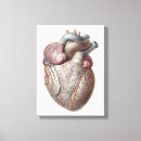 Recherche de cardiologue art Cœur