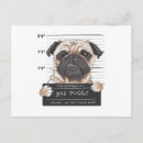 Recherche de mauvais chien cartes postales Drôle