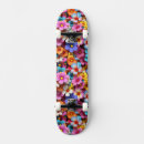 Recherche de couchers du soleil skateboards Paysage