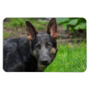 Recherche de berg magnete Gsd