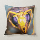 Zoek naar wesp kussens Hoorntje