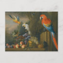Recherche de oiseau mort cartes postales Vintage