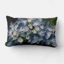 Recherche de arbustes coussins Bleu