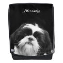 Recherche de chien dos sacs Chiot