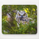 Recherche de hibou à cornes tapis souris Nature