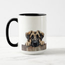 Recherche de chien kangal tasses Dog