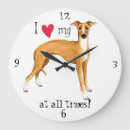 Recherche de levrier horloges Iggy