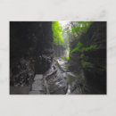 Recherche de pistes cartes postales Arbre