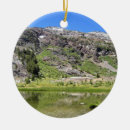 Recherche de nevada ornements Yoséite