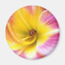Recherche de coccinelle rose magnets Nature
