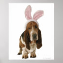 Zoek naar basset honden posters Humor