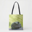 Recherche de la grenouille sacs Nature