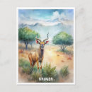 Recherche de gazelle cartes postales Aquarelle