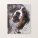 Recherche de colley puzzles Dog