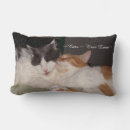 Zoek naar leuke katten kussens Schattig