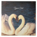 Recherche de cygnes carreaux Élégant