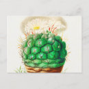 Recherche de botanique antique cartes postales Dessin