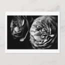Recherche de amour abstrait cartes postales Beauté