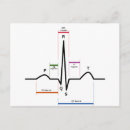 Recherche de sinus cartes postales Pour tous