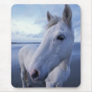 Recherche de camargue tapis souris Ferme
