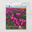 Zoek naar paarse tulpen briefkaarten Knol