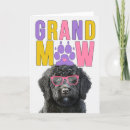 Zoek naar zwarte hond kaarten Honden