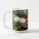 Recherche de moisissure tasses Champignons
