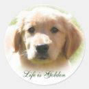 Recherche de chiens de thérapie autocollants Dog