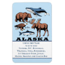 Recherche de requin baleine magnets Voyage