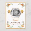 Recherche de abeilles sauvages cartes postales Fleur sauvage