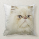 Recherche de portrait chat coussins Mignon