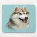 Recherche de chien traîneau tapis souris Sibérien