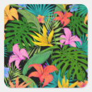 Recherche de motif tropical autocollants Tropique