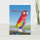 Recherche de ara vœux cartes Animaux