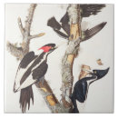 Recherche de beaux arts carreaux Oiseaux