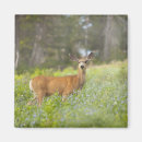 Recherche de scène magnets Faune