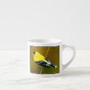 Recherche de chardonneret tasses Américain