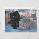 Recherche de deux chats vœux cartes Chaton