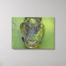 Recherche de inondation art Nature