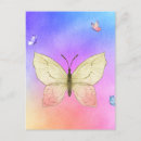 Zoek naar butterfly briefkaarten Zomer