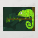 Recherche de lézard vert cartes postales Animaux