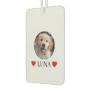 Recherche de animals voiture accessoires Pour animaux