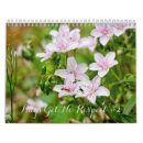 Zoek naar ladybug kalenders Vlinder