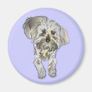 Recherche de compagnon animal magnets Animaux familiers