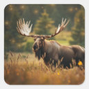Zoek naar elanden stickers Natuur